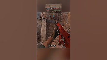 ASILO SPAWN TRAP