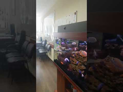 Офис в аренду, Батюнинский проезд, д. 11, стр. 1