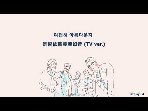 【中韓翻譯】 여전히 아름다운지 (是否依舊美麗如昔) tv ver.–  미도와 파라솔 (Mido and Falasol) |슬기로운 의사생활2 OST(機智醫生生活2 OST) (中字)