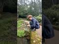 本能に抗えずスマホを川に落とす人 #shorts