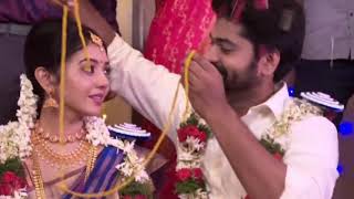 Nayagi Thiru&Anandhi Marage Function Best Of Nayagi Serial