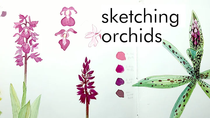 Sketching orchids in the field | hiking and sketching in nature | artist vlog