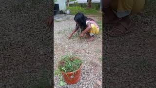 muttam niraye pochayayi.... kanmani mol ennodoppam koodi sahayikkaan😍