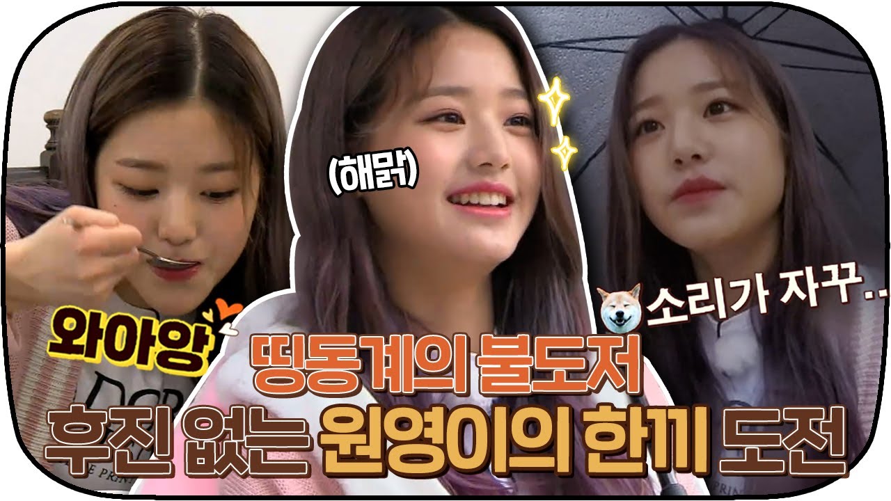 [다시봐야지] 띵동계의 불도저🚜 아기토끼 원영이의 한끼 도전기🐰｜한끼줍쇼｜JTBC 190403 방송