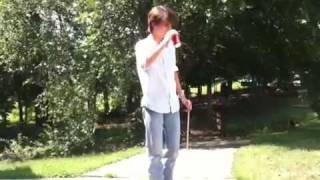 Pixy Stick Challenge