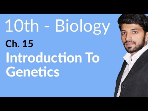 10th Class Biology Introduction To Genetics Biology Chapter 15 Biology 10th Class