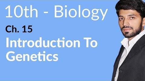 10th Class Biology Chapter 15 - Introduction to Genetics - Class 10 Biology Chapter 15