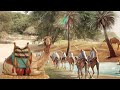 بلوچی کسہ پیر مردے ناچ توار خدابکش بالاچ ء Old Man Afunny Dance BalochSach بلوچی کسہ پیر مردے ناچ توار خدابکش بالاچ ء Old Man Afunny Dance BalochSach