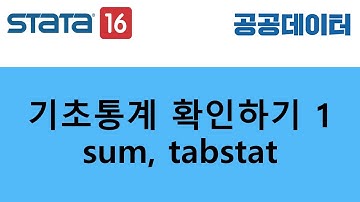 Stata에서 기초통계 확인하기 1 (sum, tabstat)