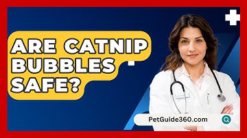 Are Catnip Bubbles Safe? - PetGuide360.com