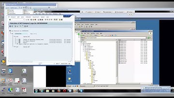 SAP BASIS TMS Transport Management System