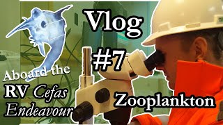 Marine Biology Vlog #7 - Zooplankton - Critters of the deep.