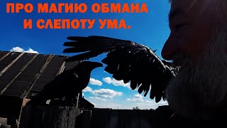 Про магию обмана и слепоту ума.