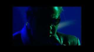 Watch Alain Bashung Lirreel video