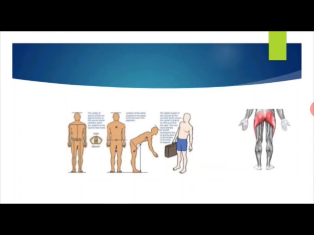 Meenakshi Ma'am Subject: Fundamental of Nursing. Topic: Mobility and Immobility Part 1