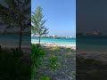 মালদ্বীপ সমুদ্র🏝️🇲🇻 @flyingbird@Crazy XYZ @The Experiment TV@Sourav Joshi Vlogs (aMast Facts