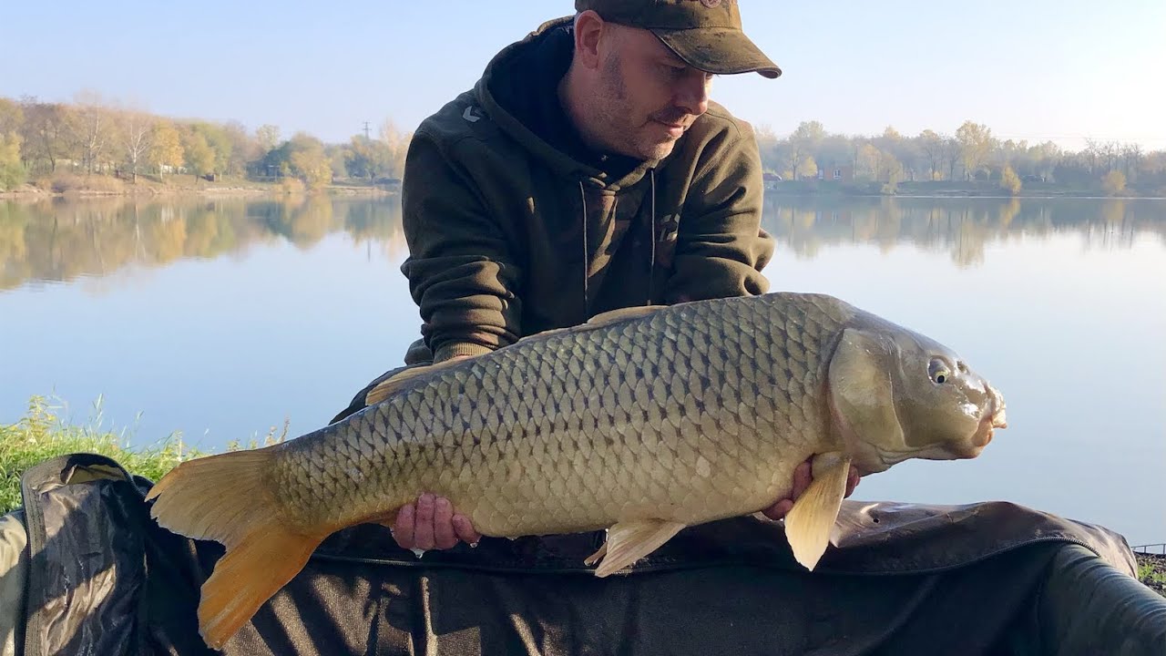 A téli időszak LEGJOBB csalija!? | Pontyshow a Bázison