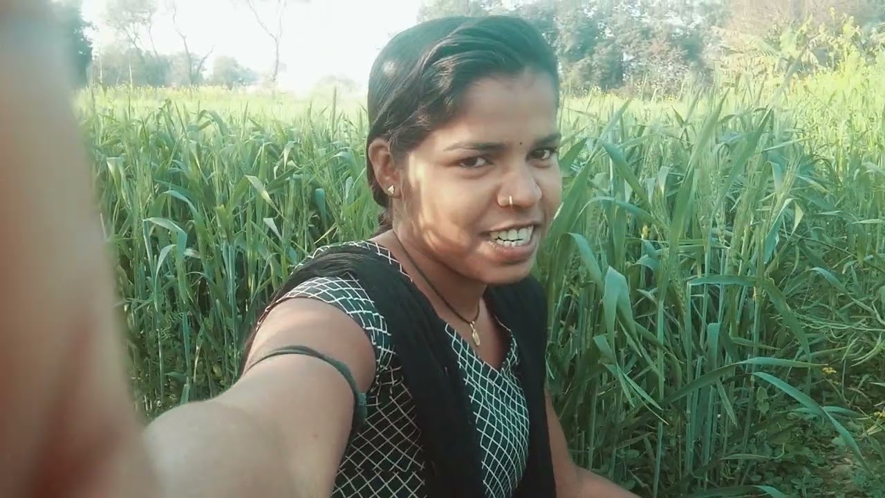 ♥️♥️👍😂🌾 गेहूं के खेत मे