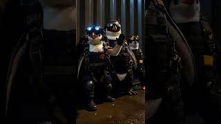Baby penguins are getting kidnapped ... will they be freed? #shorts #shortstory
