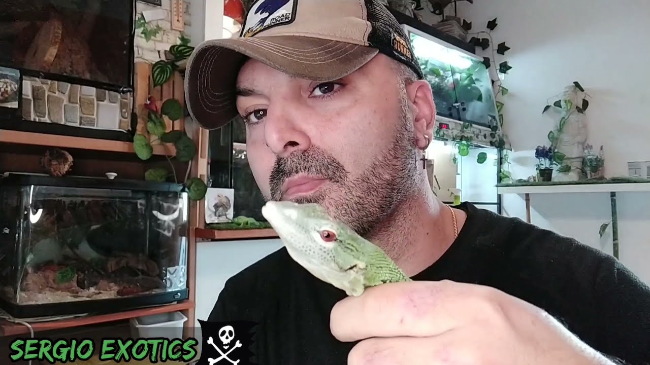 SERGIO EXOTICS TU CANAL de ANIMALES!!! (TRAILER)