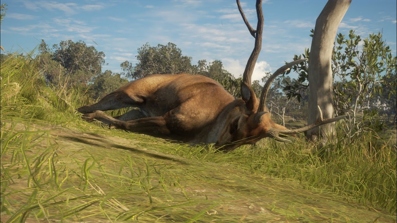 Wielki powrót do Australii. Uda nam się coś upolować😂😱😱 | The Hunter Call Of The Wild #9