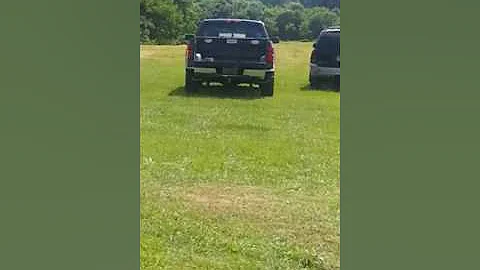 field footage