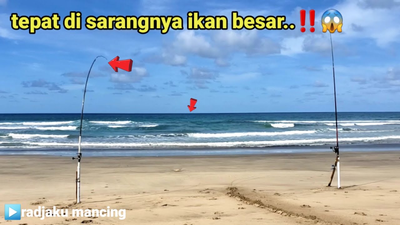 борьба за победу над крупной рыбой ||  Южный пляж песчаная рыбалка