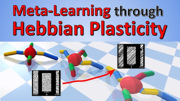 Meta-Learning through Hebbian Plasticity in Random Networks (Paper Explained)