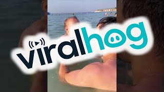 Beachgoing Baby Belly Laughing || ViralHog