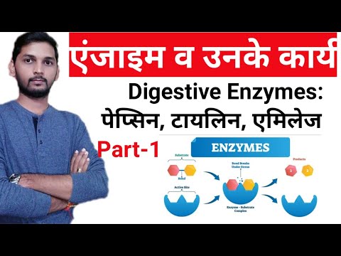 What are Enzymes? | एंजाइम व उनके कार्य | Enzyme महत्वपूर्ण प्रश्न । भाग-1