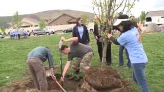 Arbor Day 2014