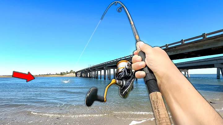 7 Days Fishing in Florida.. Eating Whatever I Catch (Catch and Cook)