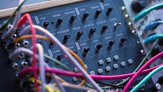 Meet Mavis: A Moog Semi-Modular Analog Synthesizer