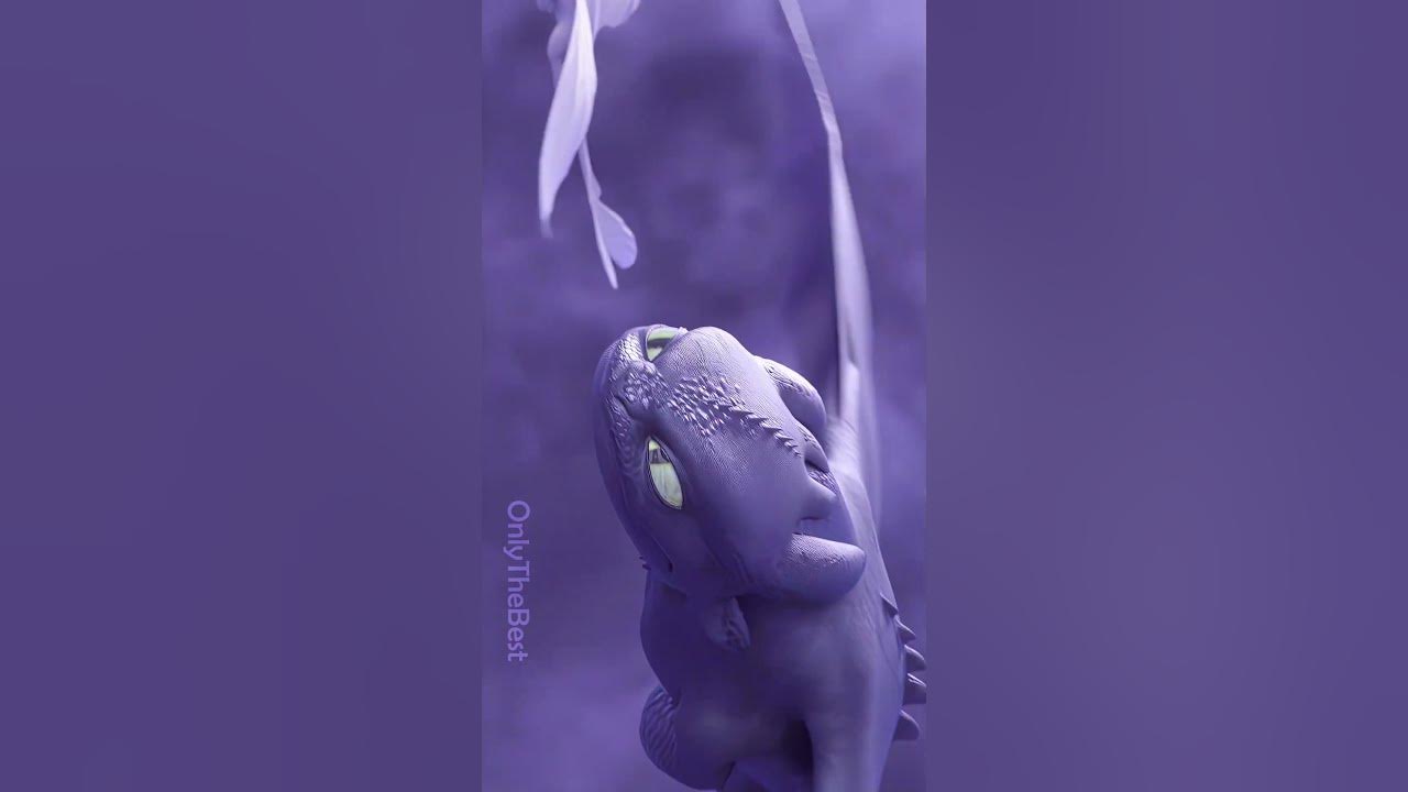 I'm Gonna Make This Dragon Disappear [4K] Toothless and Light Fury #Shorts