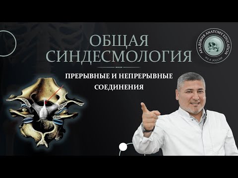 Общая синдесмология. Прерывные и не прерывные соединения