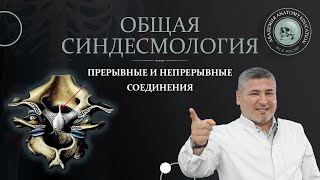 Общая синдесмология. Прерывные и не прерывные соединения