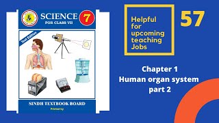 chapter 1 Human organ System( Respiratory System)  part 2 Class 7 Science Sindh text book board