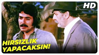 Yoksa Yapışırım Ananın Yakasına! - Benim Gibi Sevenler | Ferdi Tayfur