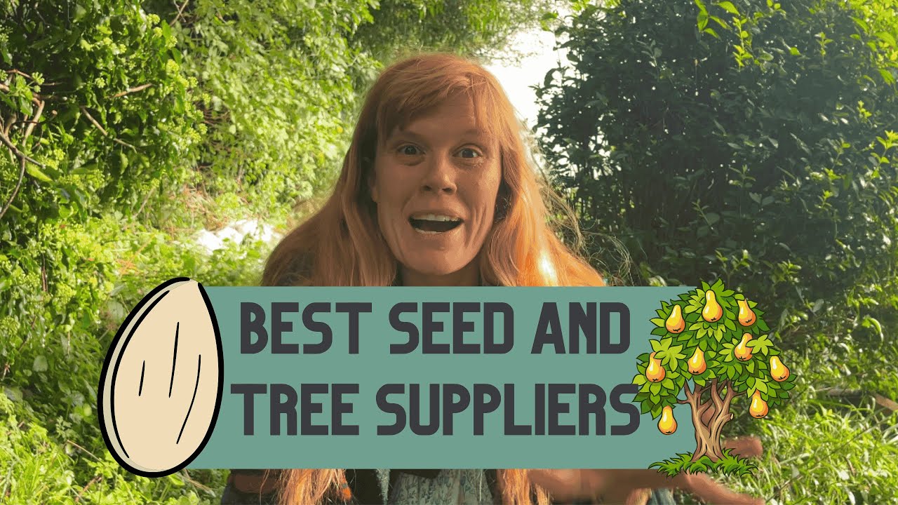 Best seeds for organic growing // Best seed companies UK