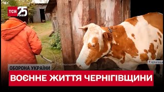 Села-примари на Чернігівщині: через обстріли населені пункти порожніють за лічені години