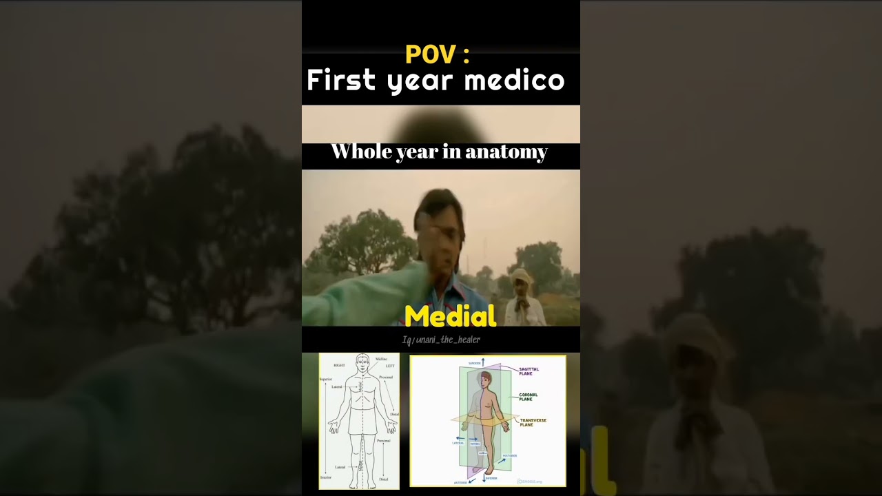 First Year Medical Students/Anatomy viva memes / Anatomy Memes 