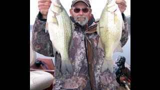 Vertical Jigging for White Bass