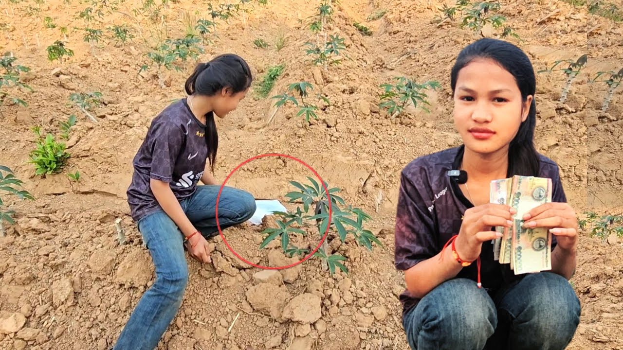 เซอร์ไพรส์น้องเรียง 1 ในสามสาวแบบไม่ทันตั้งตัว 24 กุมภาพันธ์ ค.ศ. 2026