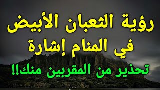 تفسير رؤية الثعبان الأبيض في المنام إشارة تحذير من المقربين منك!!