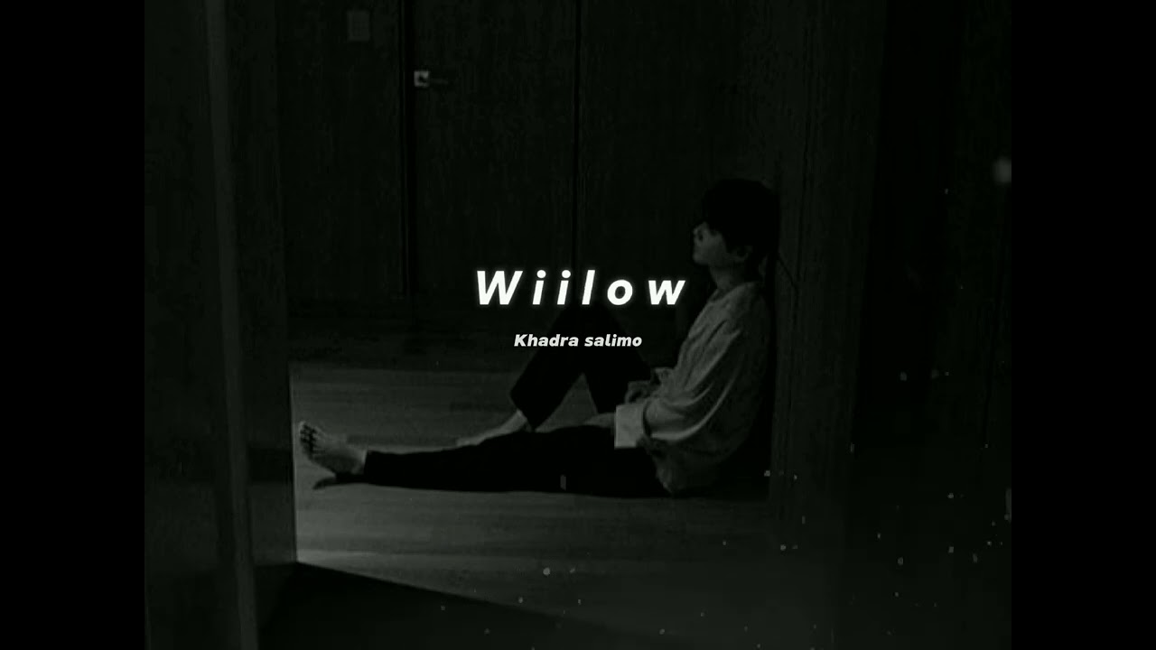 WIILOW - KHADRA SALIMO (SLOWED)