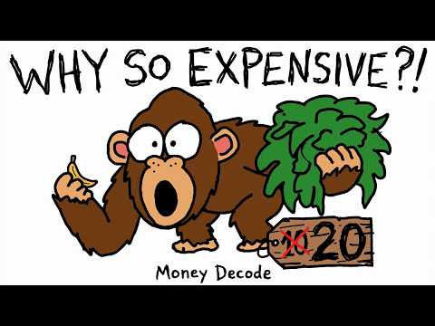 Why Bananas Cost Double: Inflation Explained | Money Decode