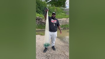 How to throw a castnet for beginners! #fishing