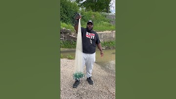 How to throw a castnet for beginners! #fishing
