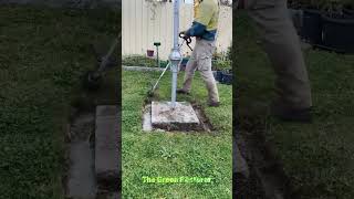Blowing | Mowing | Cutting | Cleaning | Raking #shorts #satisfying #gardening