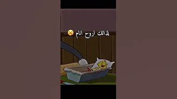 بطوط Shorts بطة تصميمي 